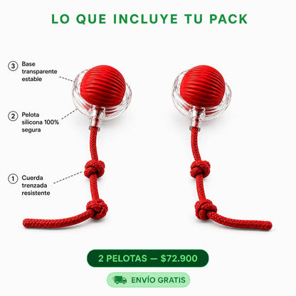 Adiós al Aburrimiento y a los Muebles Dañados | Pack x2 Pelotas Interactivas
