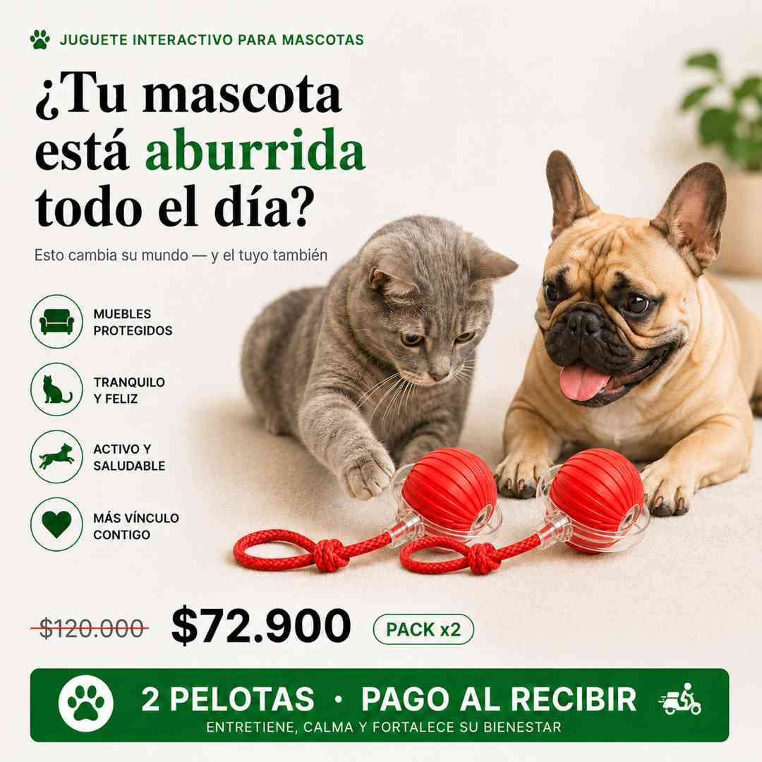 Adiós al Aburrimiento y a los Muebles Dañados | Pack x2 Pelotas Interactivas